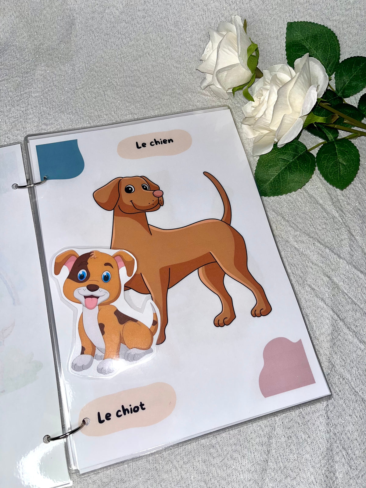 Les animaux et leurs bébés