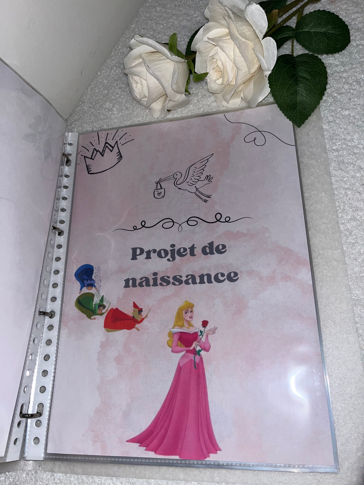 Classeur de grossesse