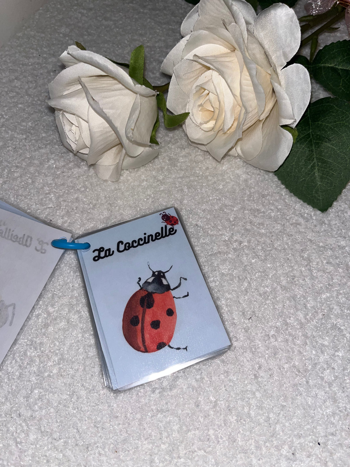 Les insectes