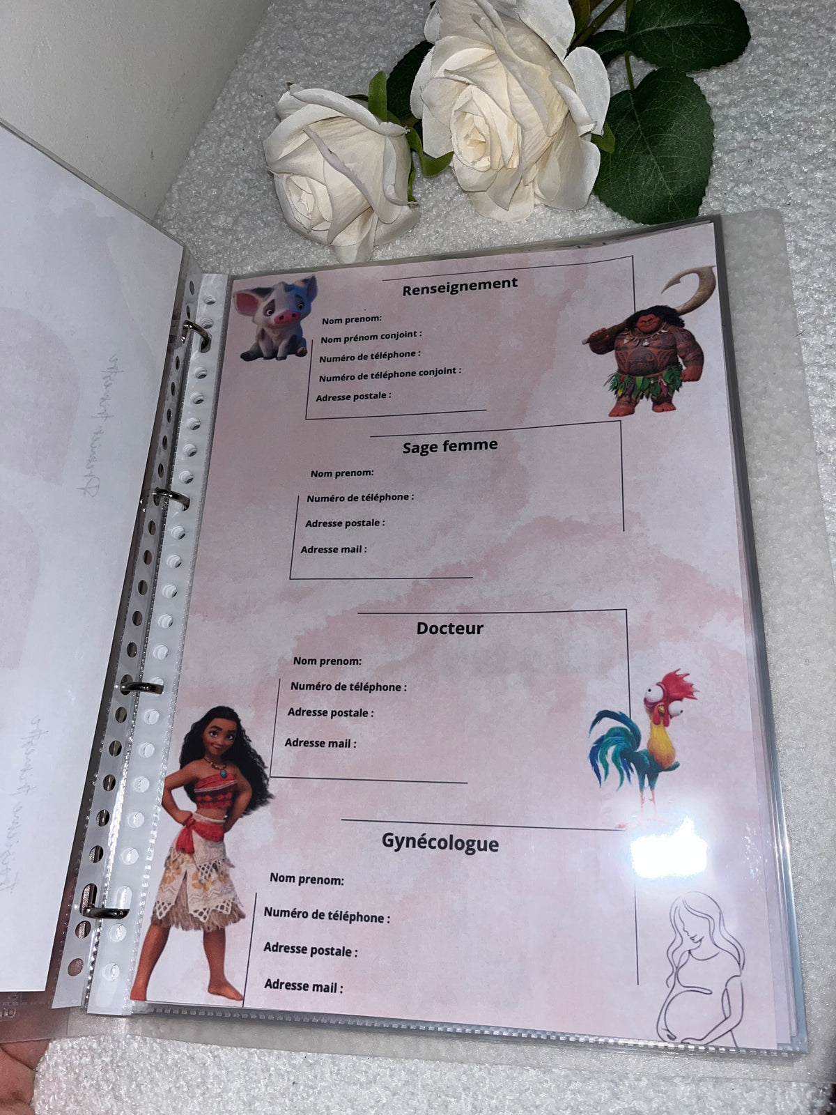 Classeur de grossesse