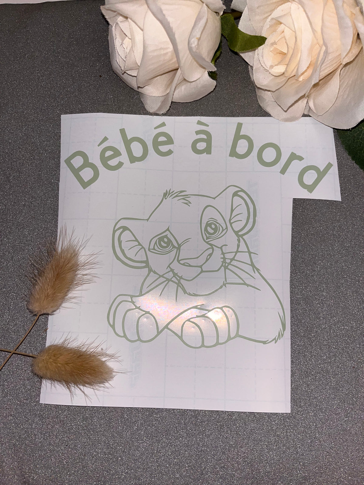Bébé à bord