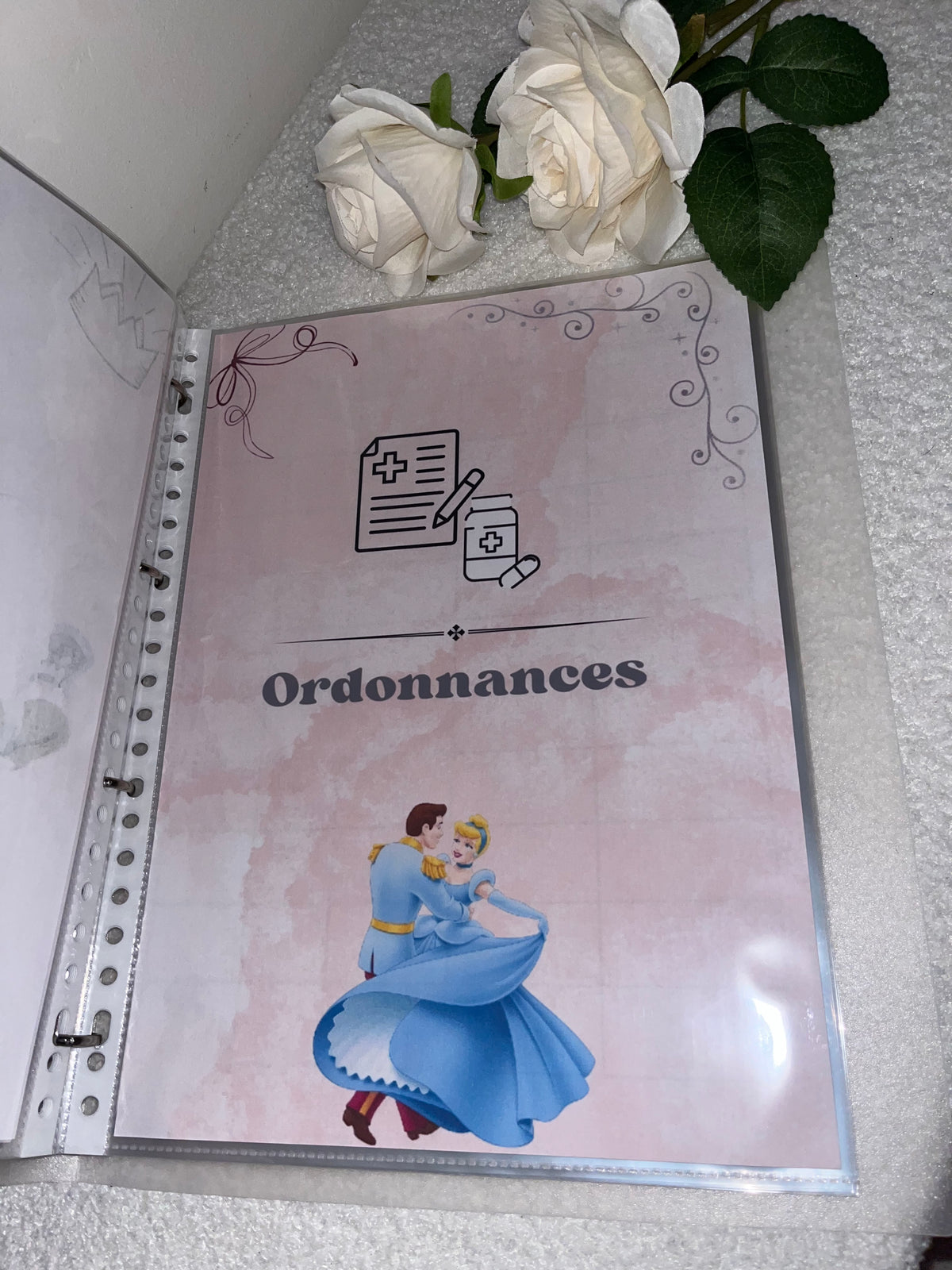 Classeur de grossesse