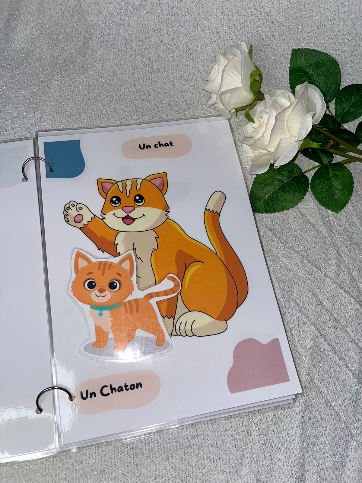 Les animaux et leurs bébés