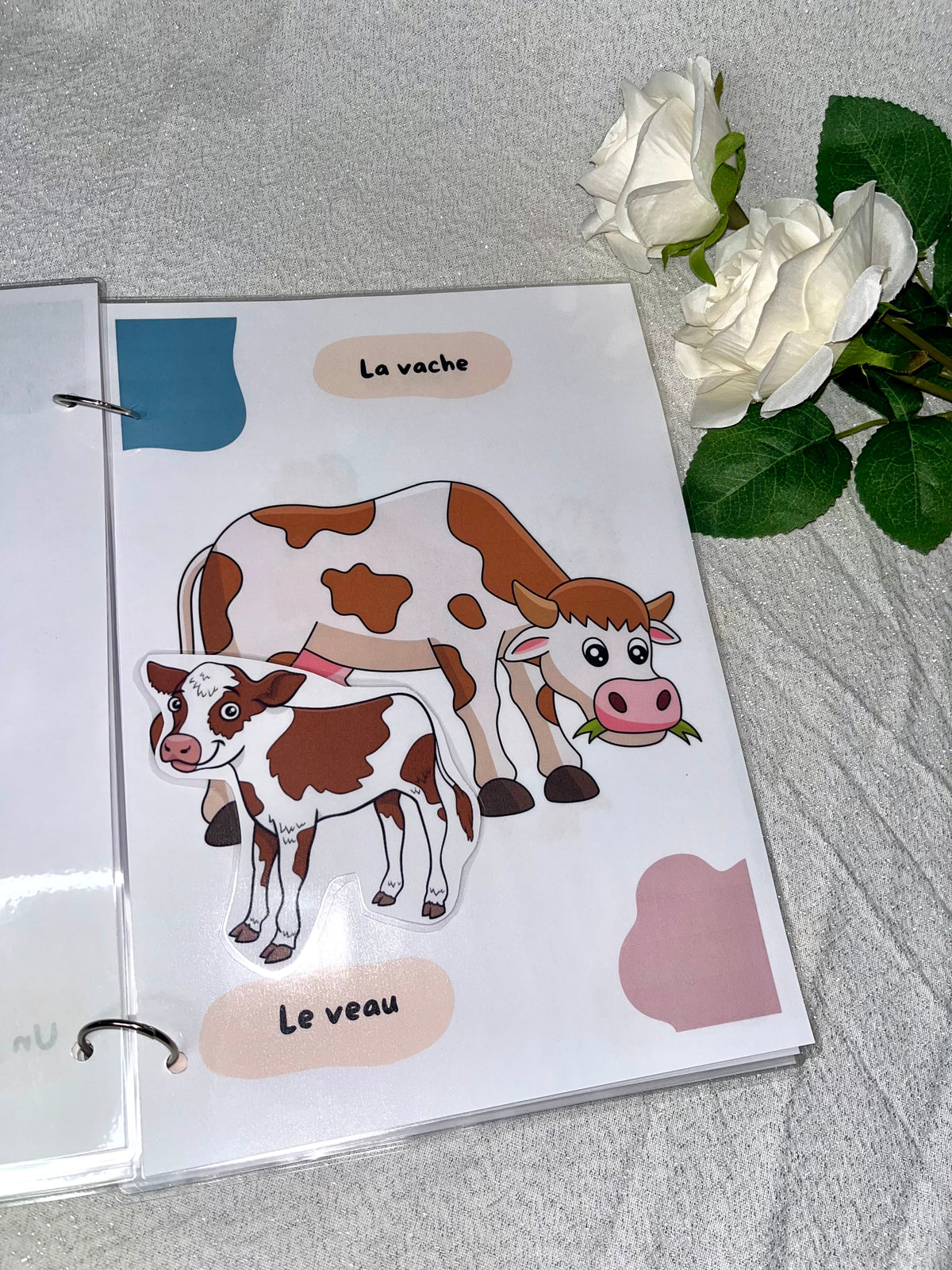 Les animaux et leurs bébés