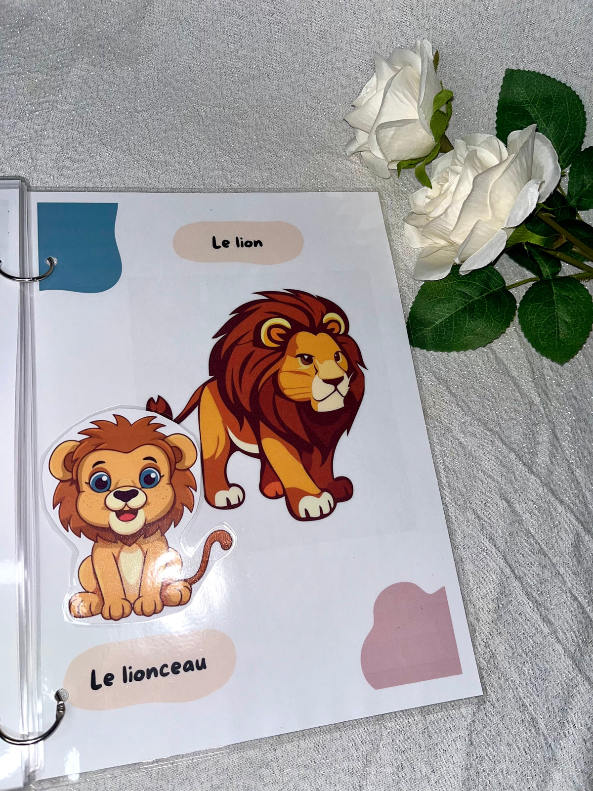 Les animaux et leurs bébés