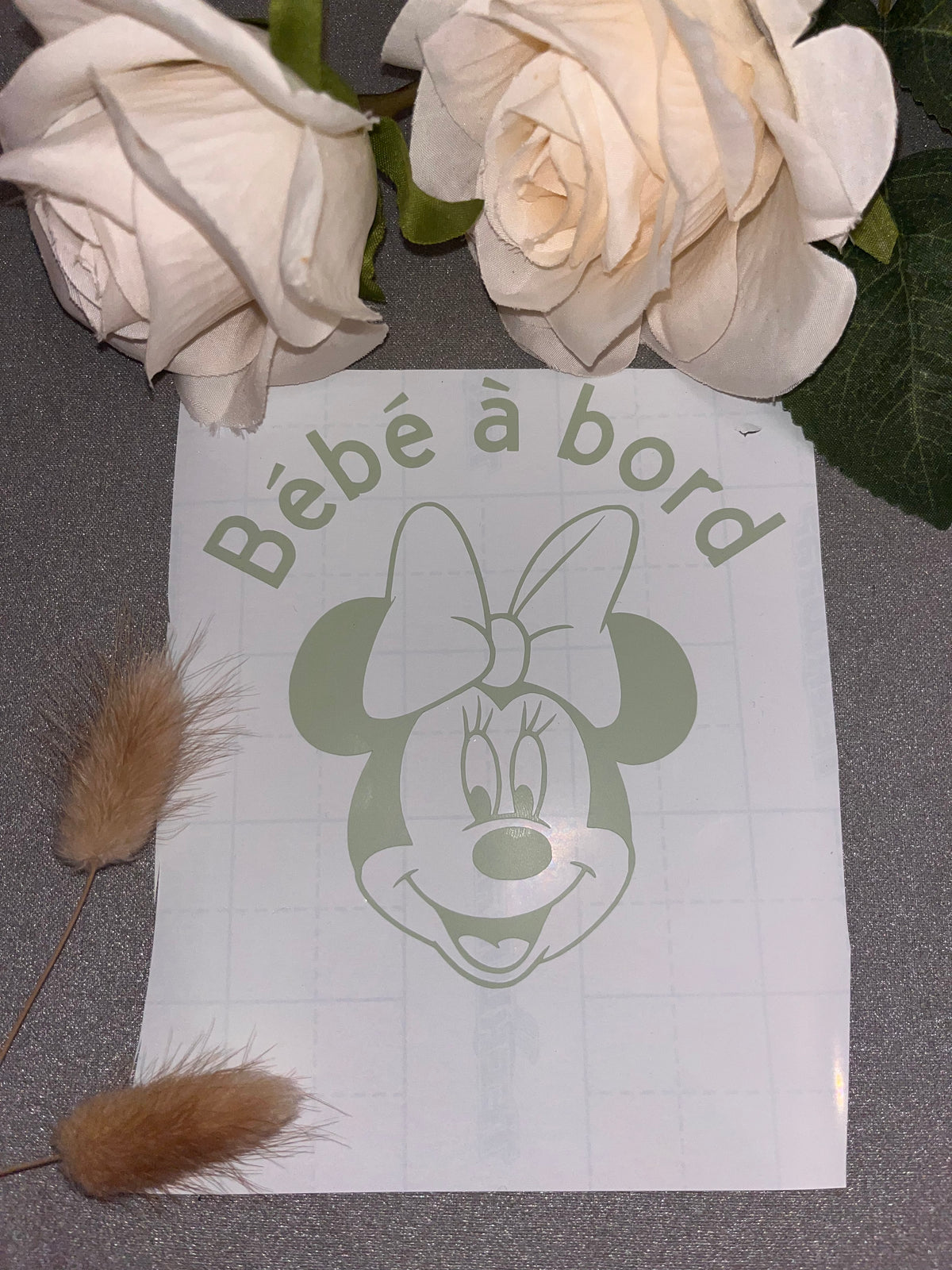 Bébé à bord