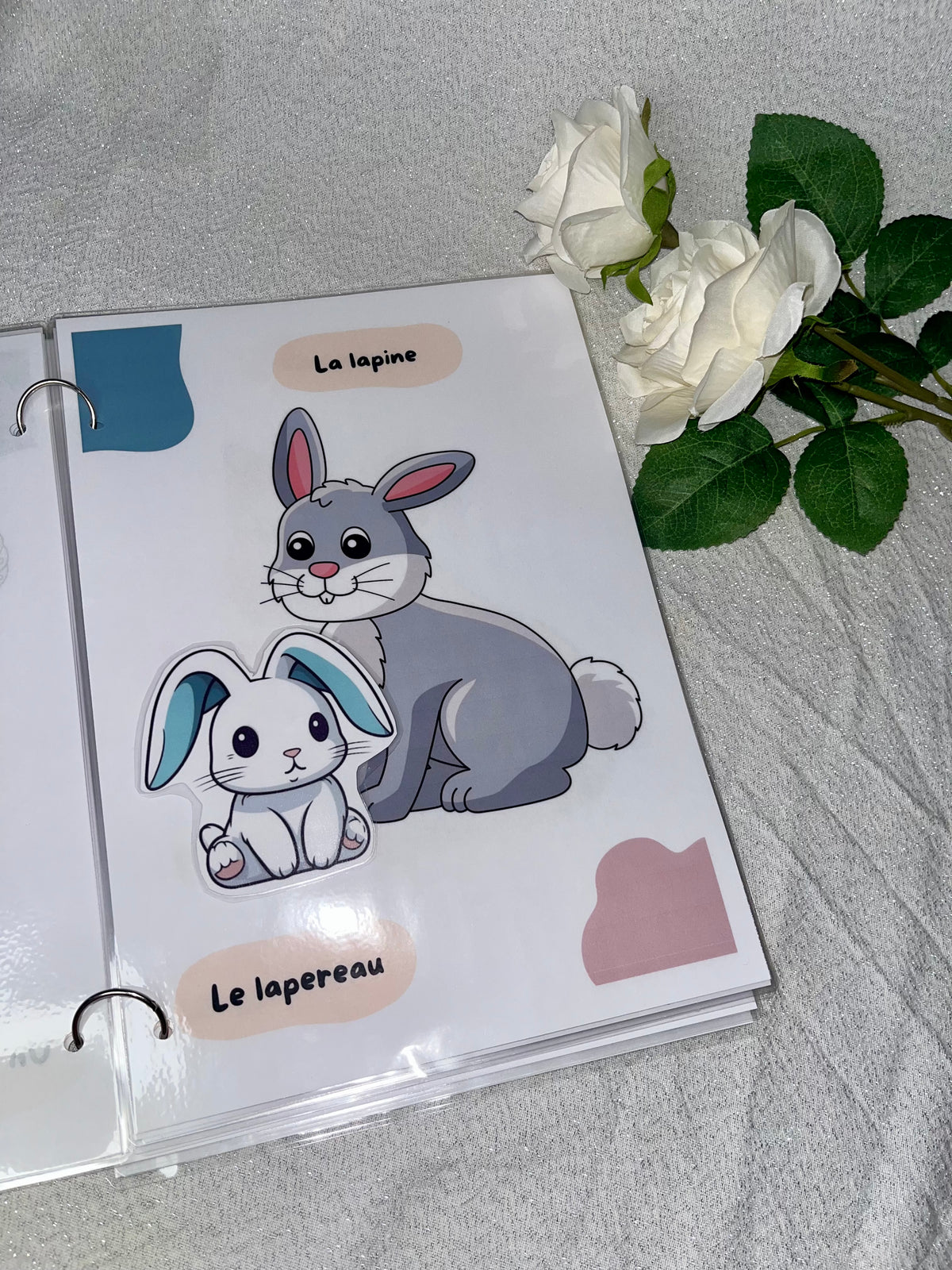 Les animaux et leurs bébés