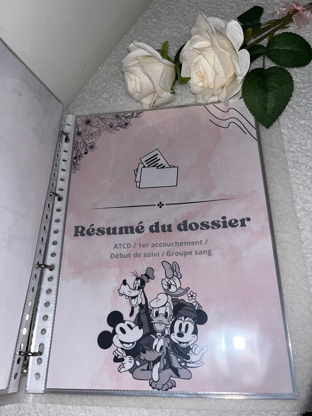 Classeur de grossesse