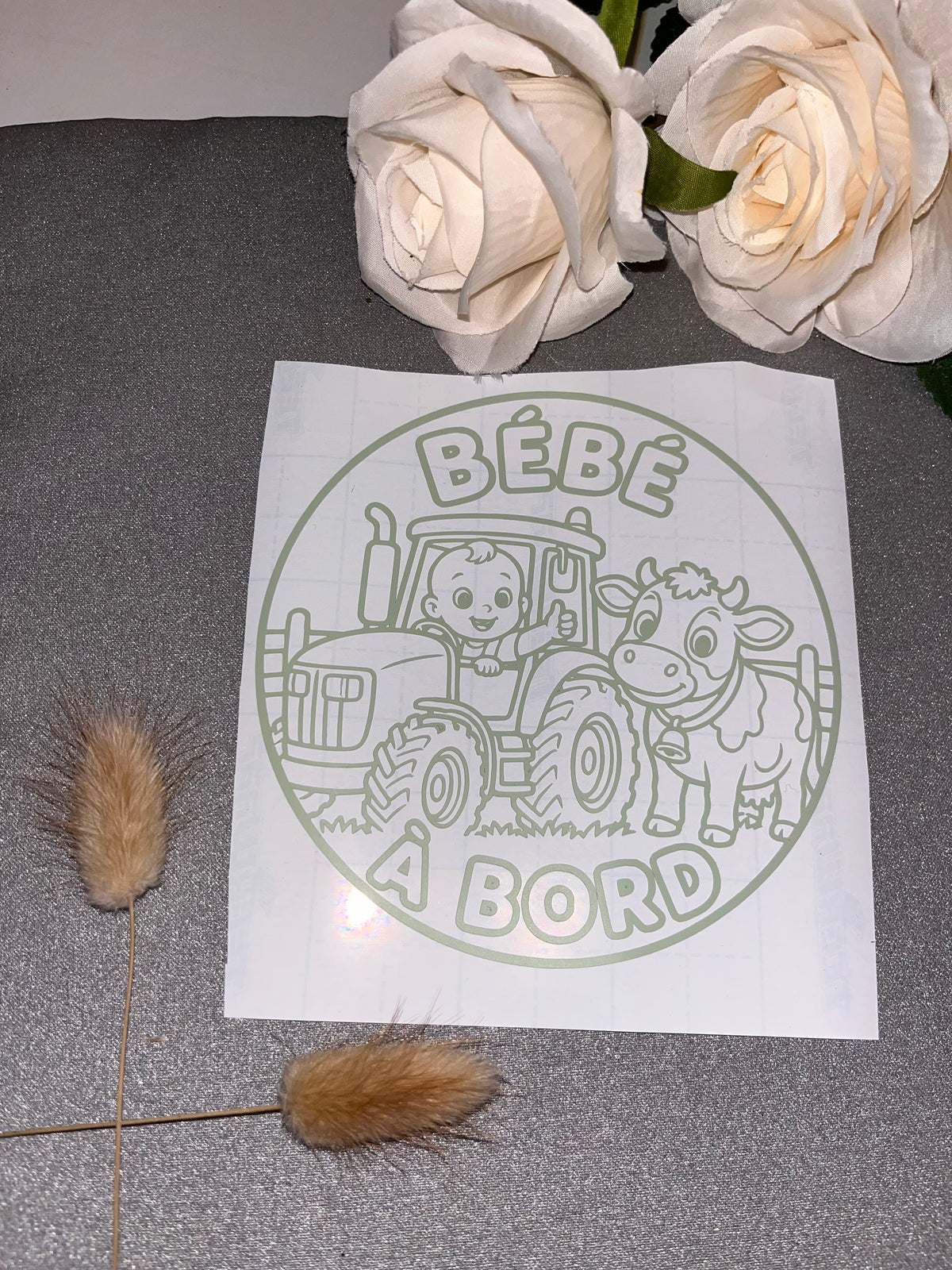 Bébé à bord