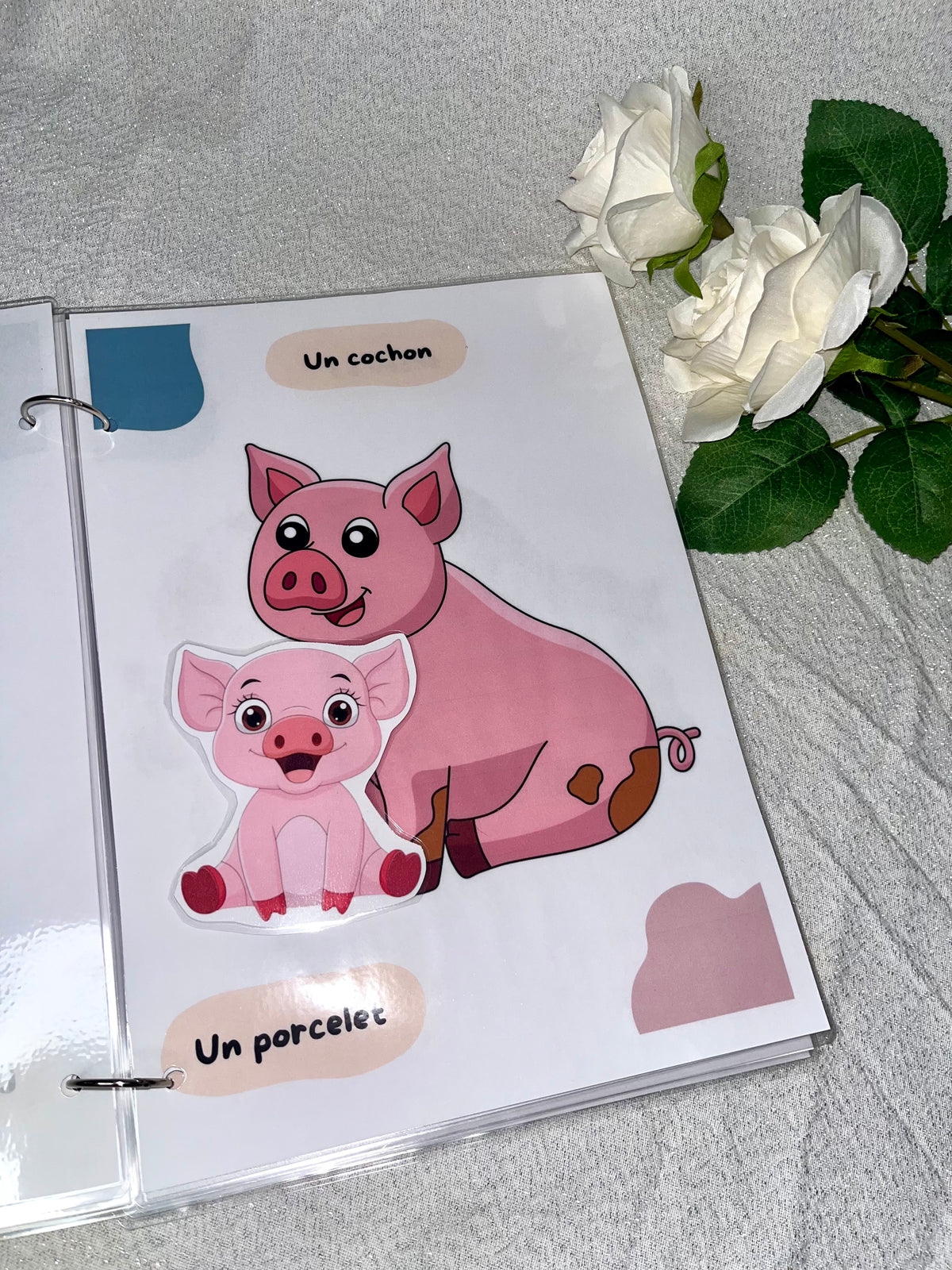 Les animaux et leurs bébés