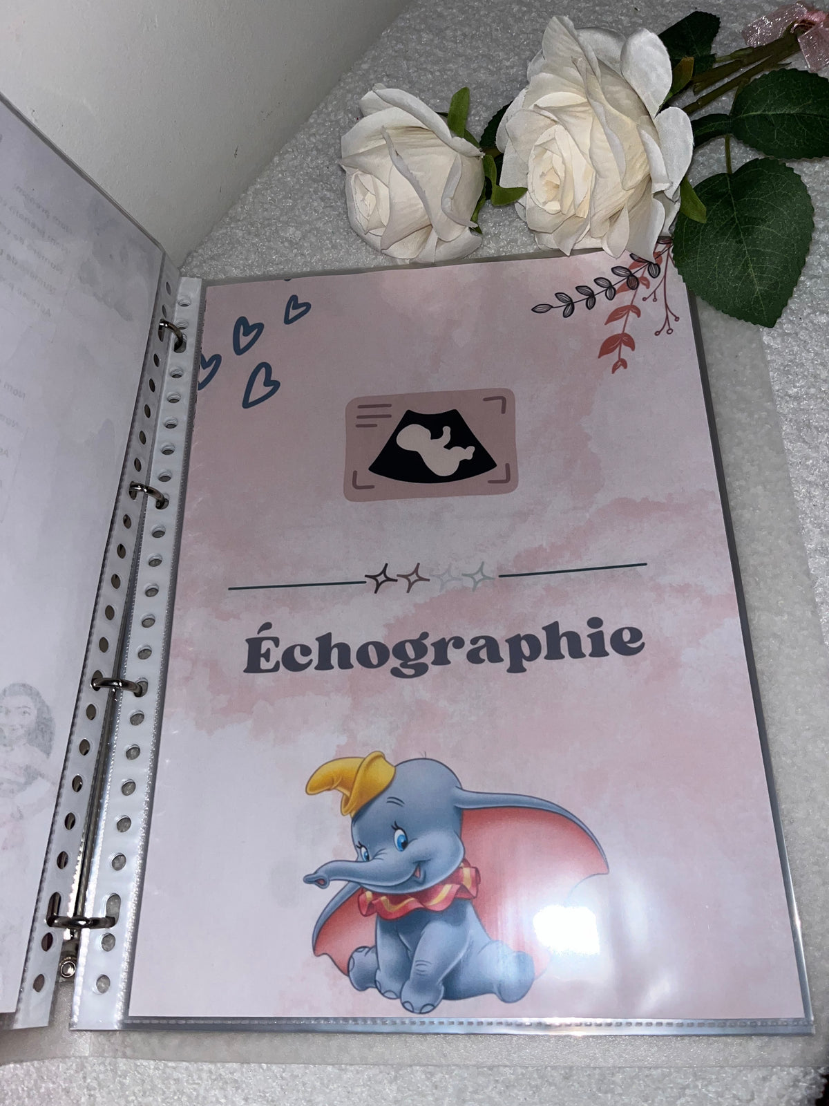 Classeur de grossesse