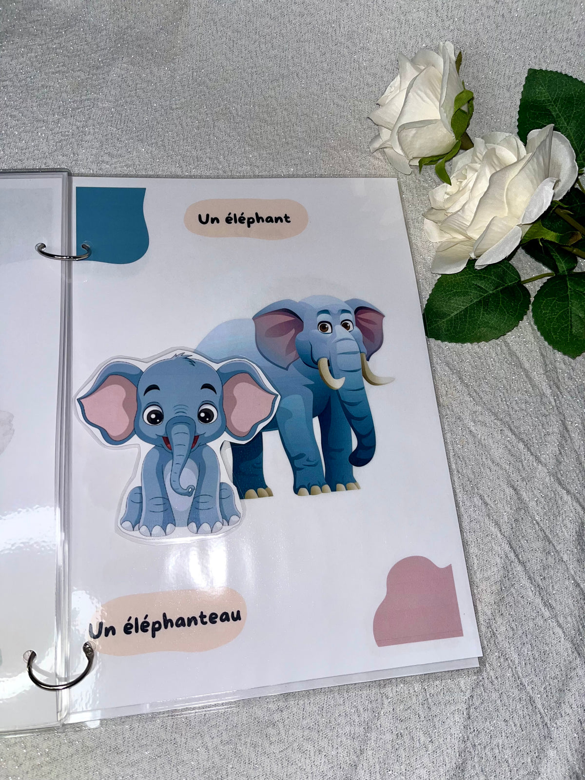 Les animaux et leurs bébés