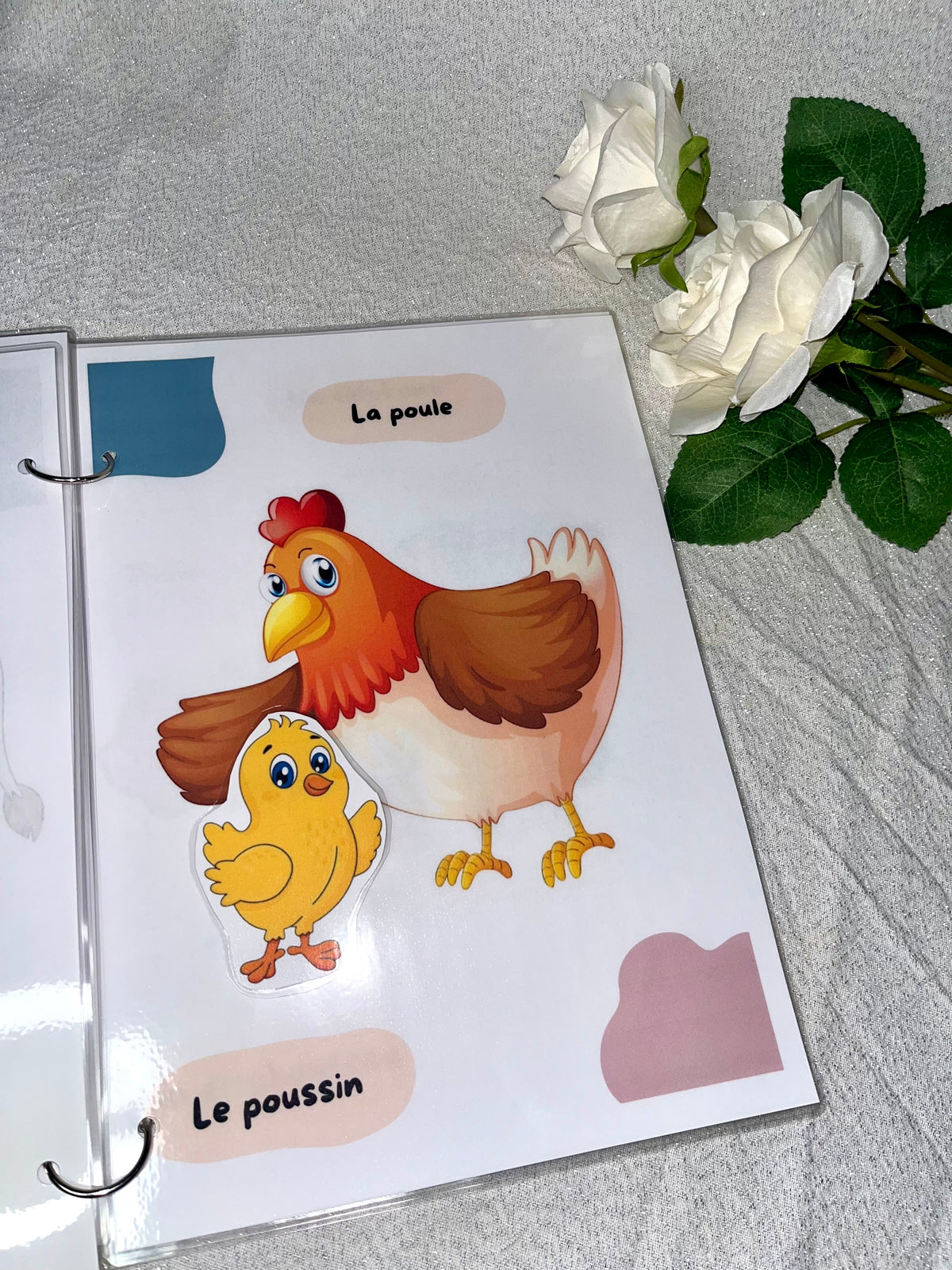 Les animaux et leurs bébés